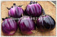 200 pcs Purple round eggplant Bonsai,Organic vegetable, Flower Potted Plant Garden Fruit And Vegetables Bonsai for Home Garden