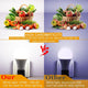 110V 220V E27 RGB LED Bulb Lights 5W 10W 15W RGB Lampada Changeable Colorful RGBW LED Lamp With IR Remote Control+Memory Mode
