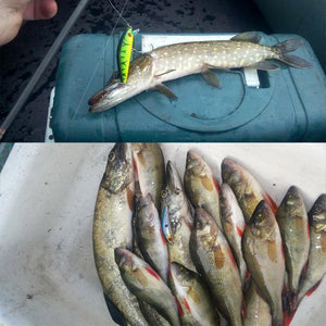 Oiko Store  1PCS  Fishing Lure Minnow Crankbait Hard Bait Tight Wobble Slow sinking Jerkbait Fishing Tackle