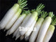 200 PCS White Radish plants Vegetable Juicy And Nutritious Early Spring Radish plants for Garden Perennial Non-GMO Plant Pot