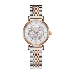 Drop Shipping Silver Rose Gold Stainless Steel Bracelet Watch Women Fashion Womens Quartz Watches Ladies Clock Female gift XFCS