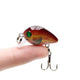 Oiko Store  Amlucas 30mm 2g Crazy Wobblers Mini Topwater Crankbait Artificial Japan Hard Bait Pesca Floating Fishing Lures bass Pesca WW338