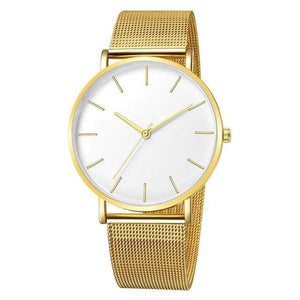 Simplicity Modern Quartz Watch Women Mesh Stainless Steel Bracelet High Quality Casual Wrist Watch for Woman Montre Femme D20