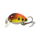 Oiko Store  M Amlucas 30mm 2g Crazy Wobblers Mini Topwater Crankbait Artificial Japan Hard Bait Pesca Floating Fishing Lures bass Pesca WW338