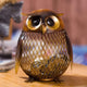 Oiko Store  Money Owl Coin Collector