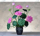 Oiko Store  Multi-Colored bonsai flower lotus flower for summer 100% real Bowl lotus pots Bonsai garden plants 5pcs/bag