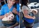 Oiko Store  Pet carrier pouch