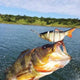 Oiko Store  Piscifun Fishing Lure 10cm 20g 3D Eyes 6 Segment Lifelike Hard Lure Crankbait Sinking Wobblers 2 Hook Fishing Baits Pesca Cebo