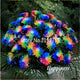 Sale! 300 Pcs Novel Rainbow Chrysanthemum Flower Bonsai, Chrysanthemum Perennial Bonsai Flower Daisy Potted Plant For Garden